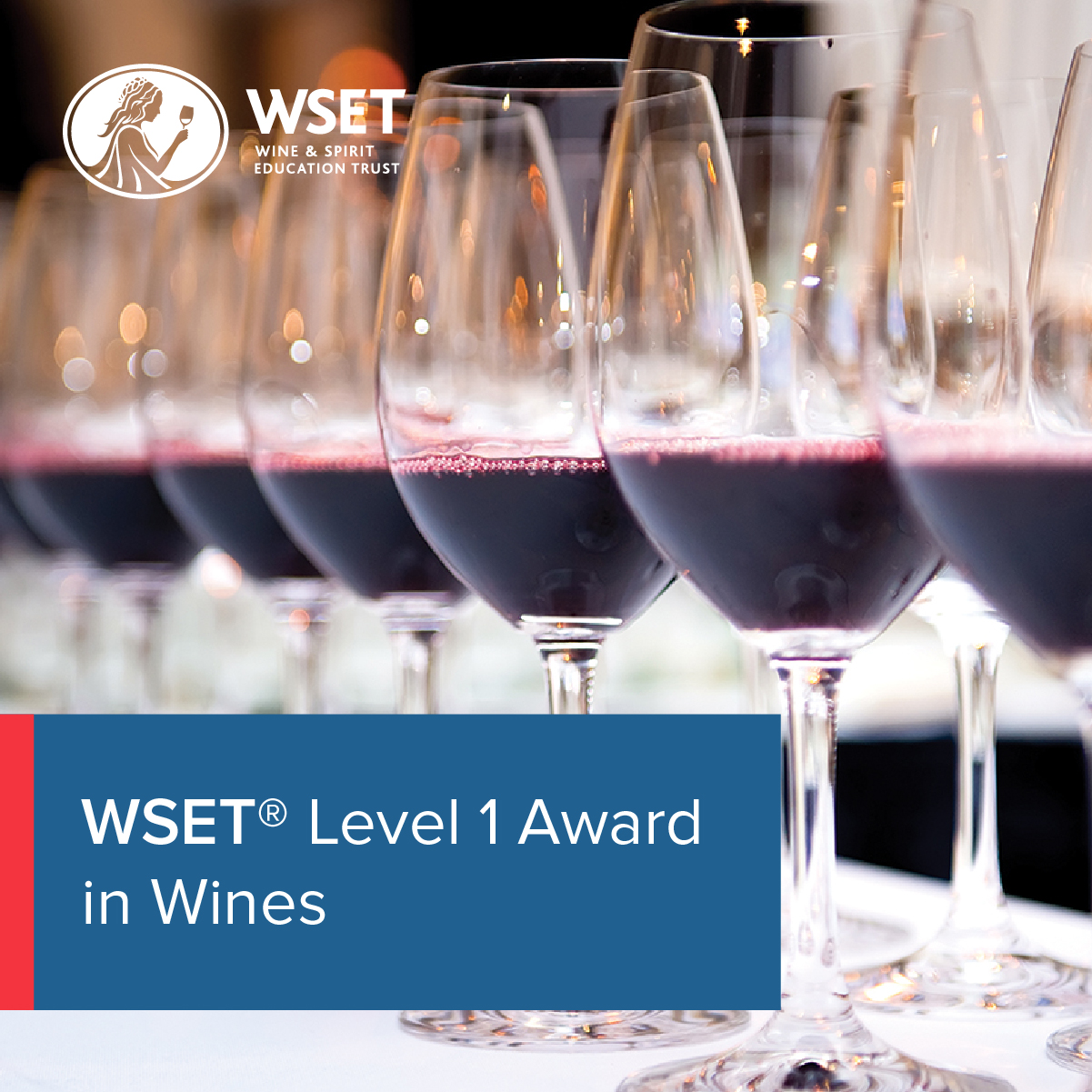 WSET 1 (fully in English)