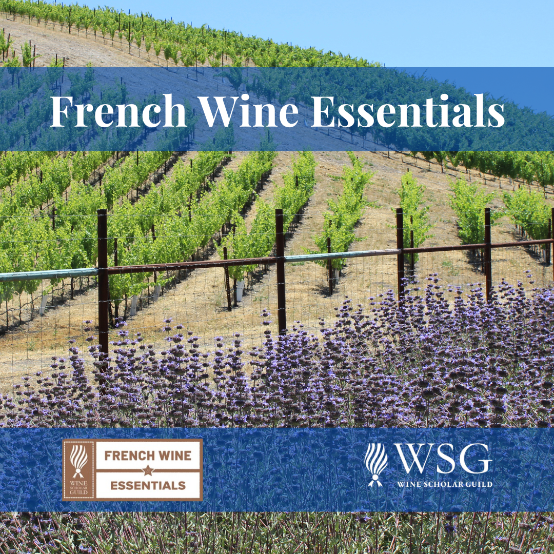 French Wine Essentials
